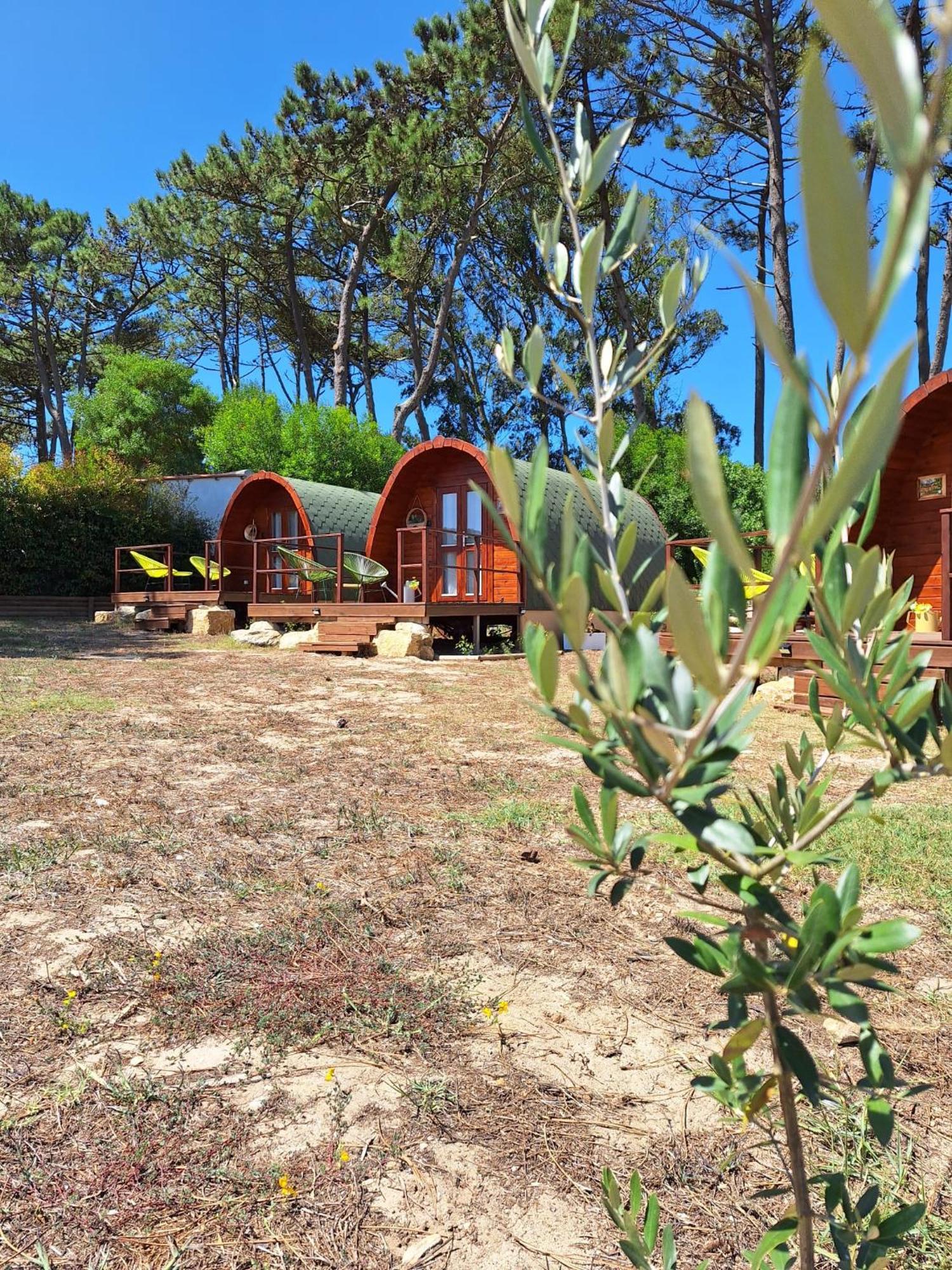 Vila Bastardo Glamping Pod Ξενοδοχείο Σίντρα Εξωτερικό φωτογραφία